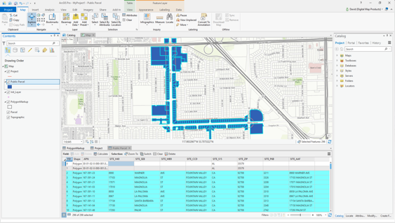 Web Service ArcGIS