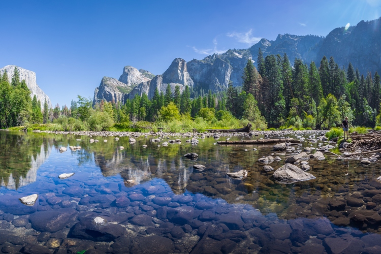 Yosemite National Park | California Department of Fish & Wildlife uses DMP platform to assess property ownership